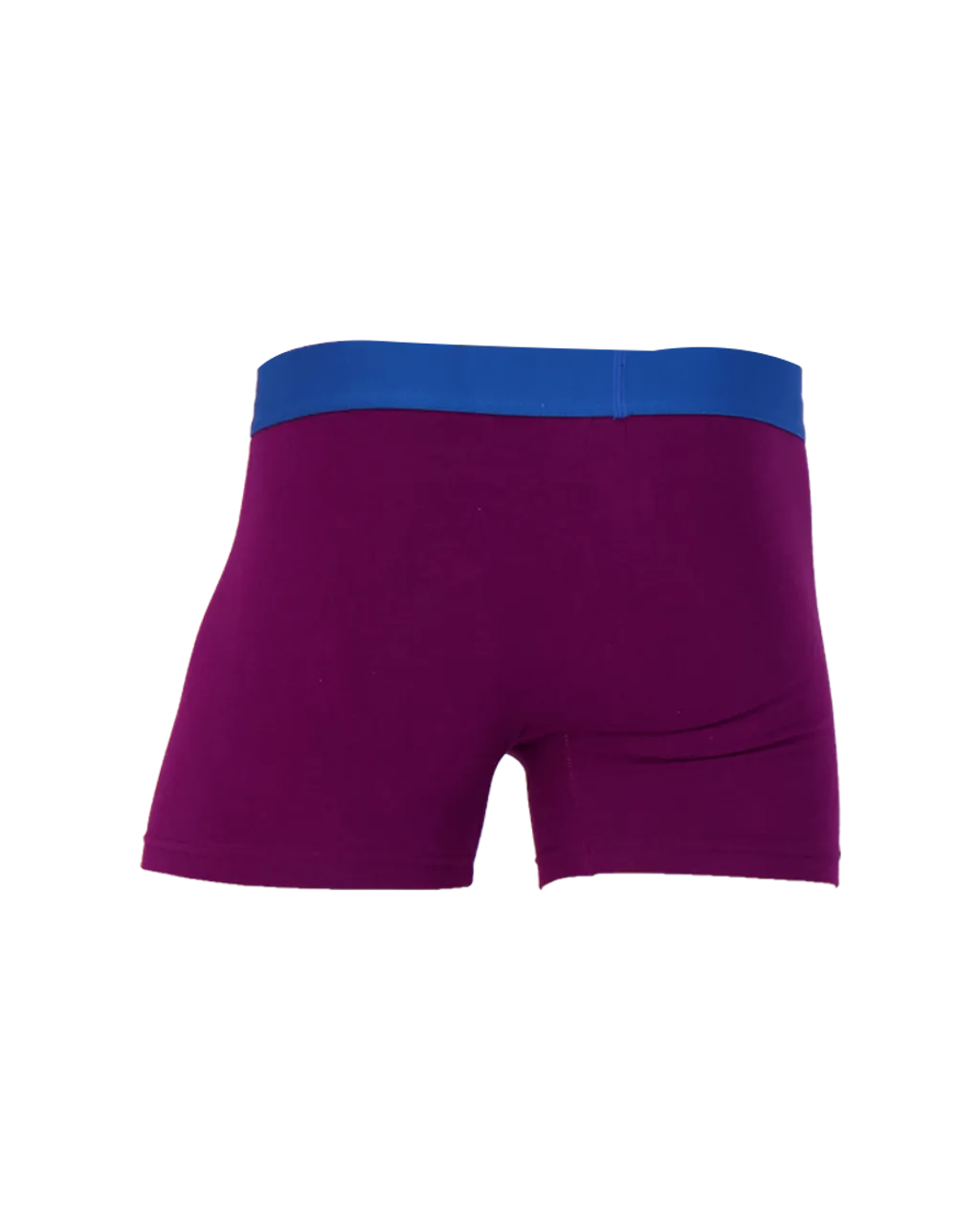 Boxer Brief w/ Fly in Dark Purple by Wood Underwear