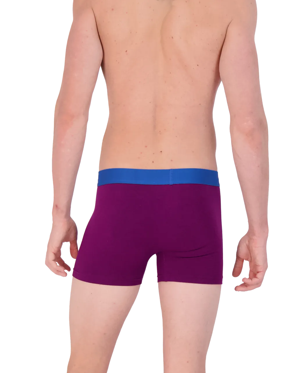 Boxer Brief w/ Fly in Dark Purple by Wood Underwear